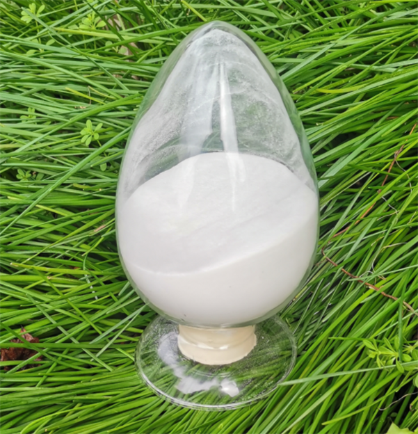 �����¶����